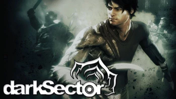 Dark Sector