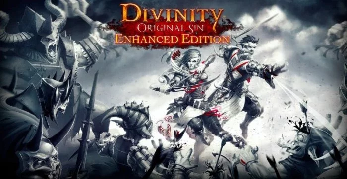 Divinity Original Sin Enhanced Edition