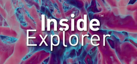 Inside Explorer