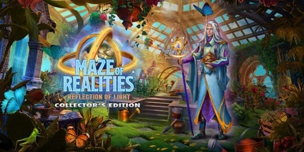 Maze of Realities: Reflection of Light