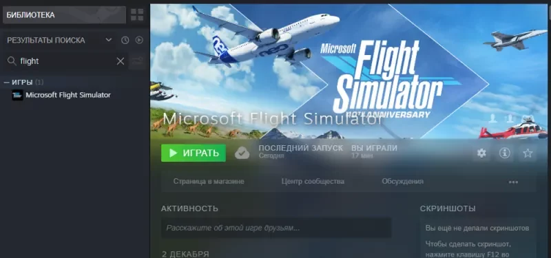 Microsoft Flight Simulator