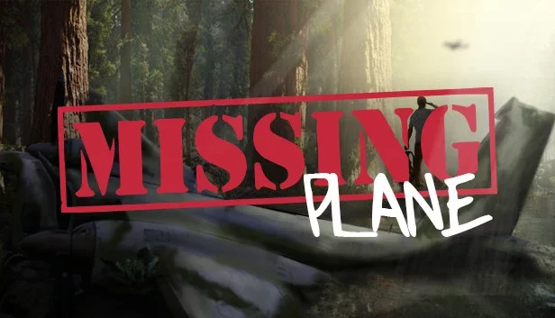 Missing Plane: Survival