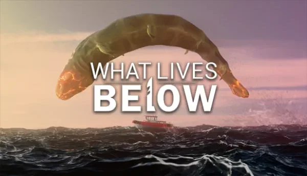 What Lives Below